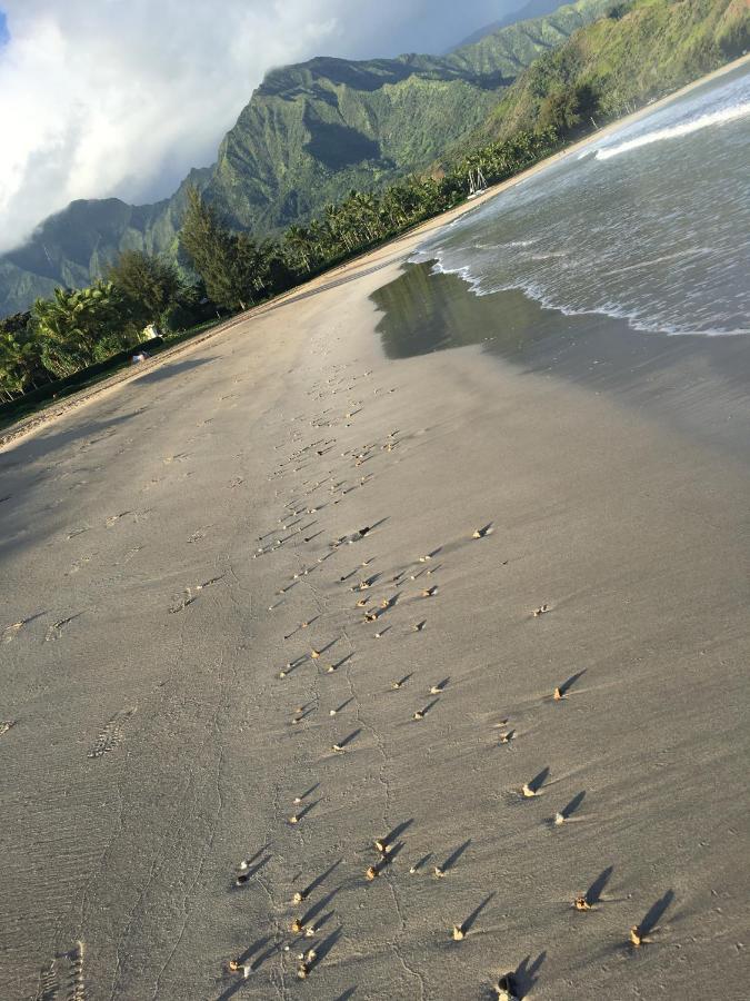 Puu Poa Ocean Bluff Condo, Incredible Views, Walk To Beaches, Pool & Tennis Princeville Exteriör bild