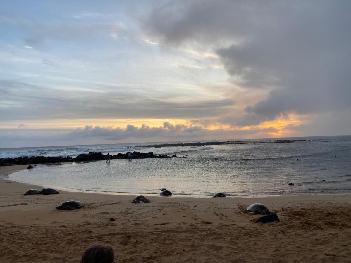 Puu Poa Ocean Bluff Condo, Incredible Views, Walk To Beaches, Pool & Tennis Princeville Exteriör bild
