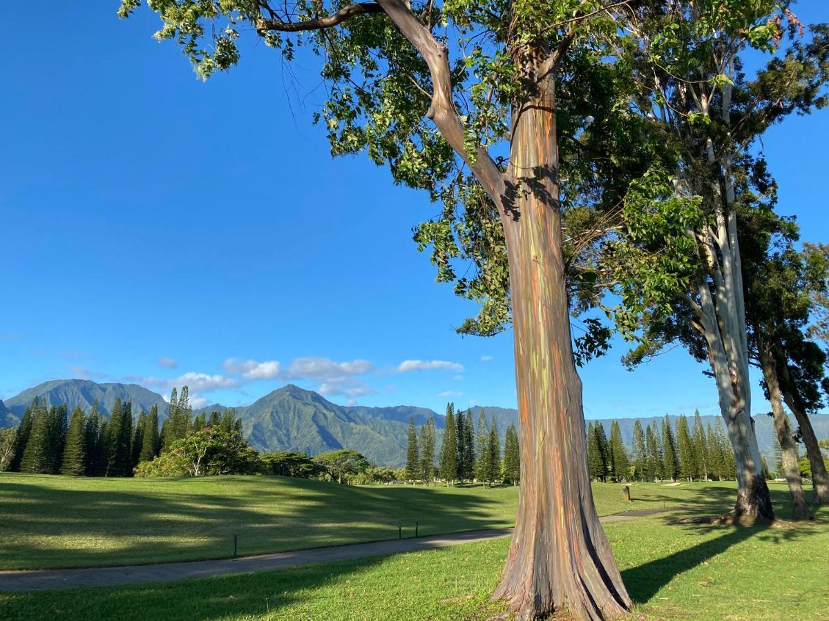 Puu Poa Ocean Bluff Condo, Incredible Views, Walk To Beaches, Pool & Tennis Princeville Exteriör bild