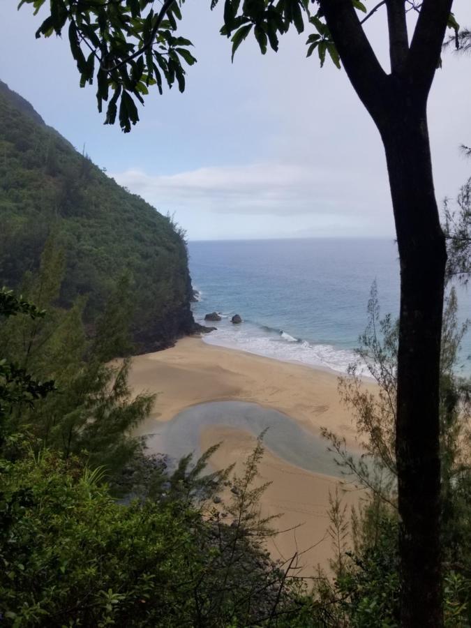 Puu Poa Ocean Bluff Condo, Incredible Views, Walk To Beaches, Pool & Tennis Princeville Exteriör bild