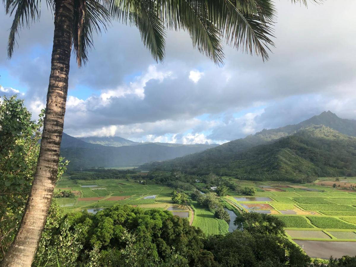 Puu Poa Ocean Bluff Condo, Incredible Views, Walk To Beaches, Pool & Tennis Princeville Exteriör bild