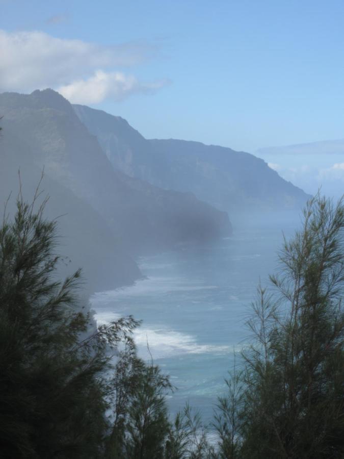 Puu Poa Ocean Bluff Condo, Incredible Views, Walk To Beaches, Pool & Tennis Princeville Exteriör bild