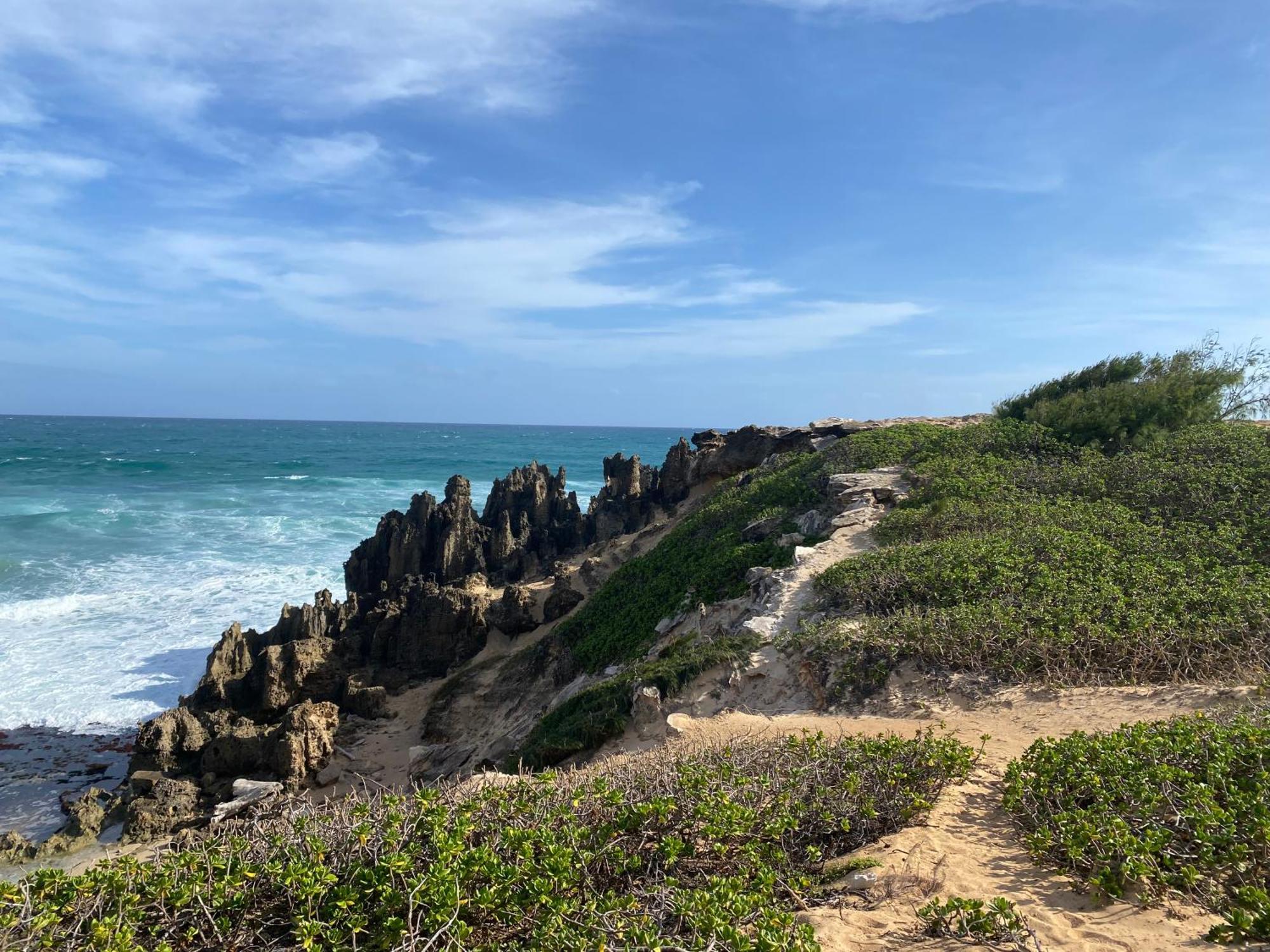 Puu Poa Ocean Bluff Condo, Incredible Views, Walk To Beaches, Pool & Tennis Princeville Exteriör bild